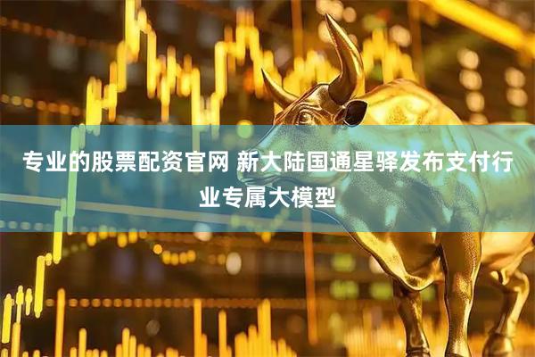 专业的股票配资官网 新大陆国通星驿发布支付行业专属大模型